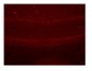 SGCE antibody - N-terminal region